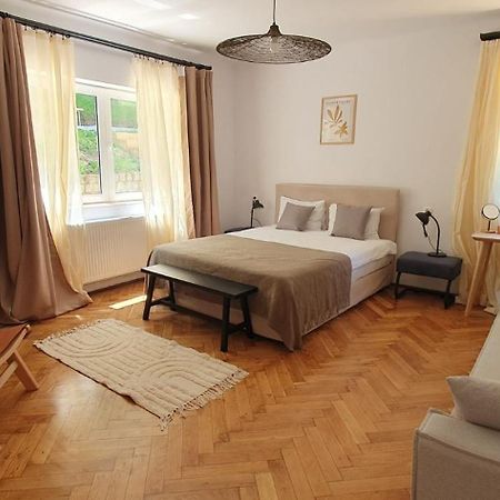 The Pines Serviced Apartments Brașov Exterior foto